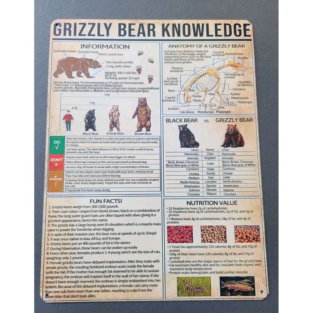 Grizzly Bear Knowledge Sign Cabin Man Cave Lodge Decor Bears